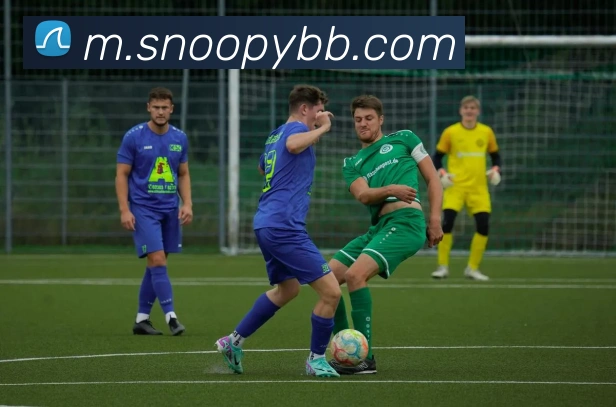APP界面展示
